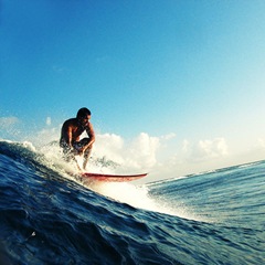 surf