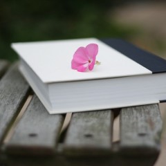 Poesie motivanti