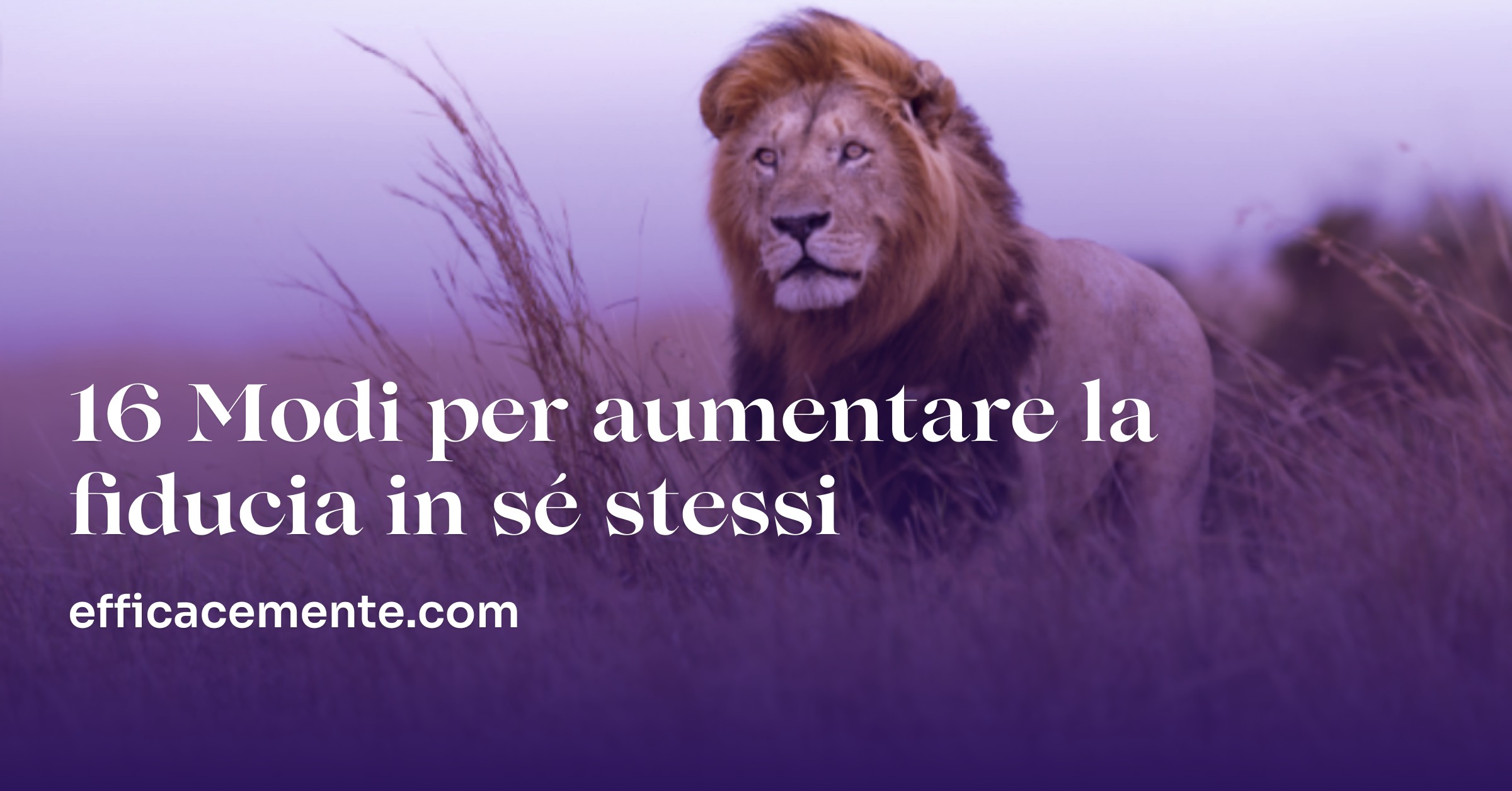 16 Modi per Aumentare la Fiducia in Sé Stessi | EfficaceMente