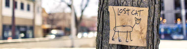 Pensieri Positivi I 3 Vampiri Di Cui Devi Liberarti Per Pensare Positivo Efficacemente