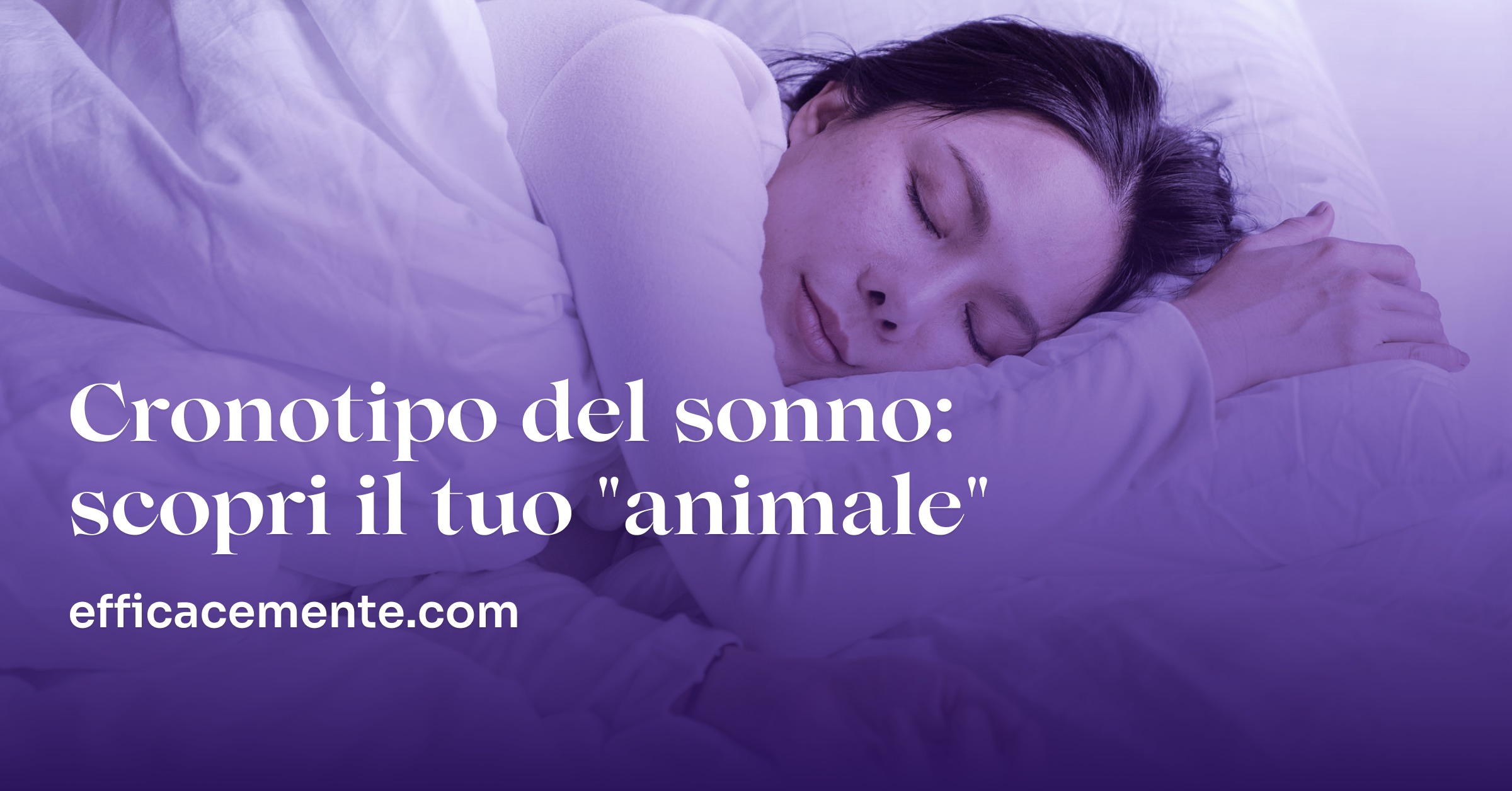 Come Combattere Il Sonno Per Studiare