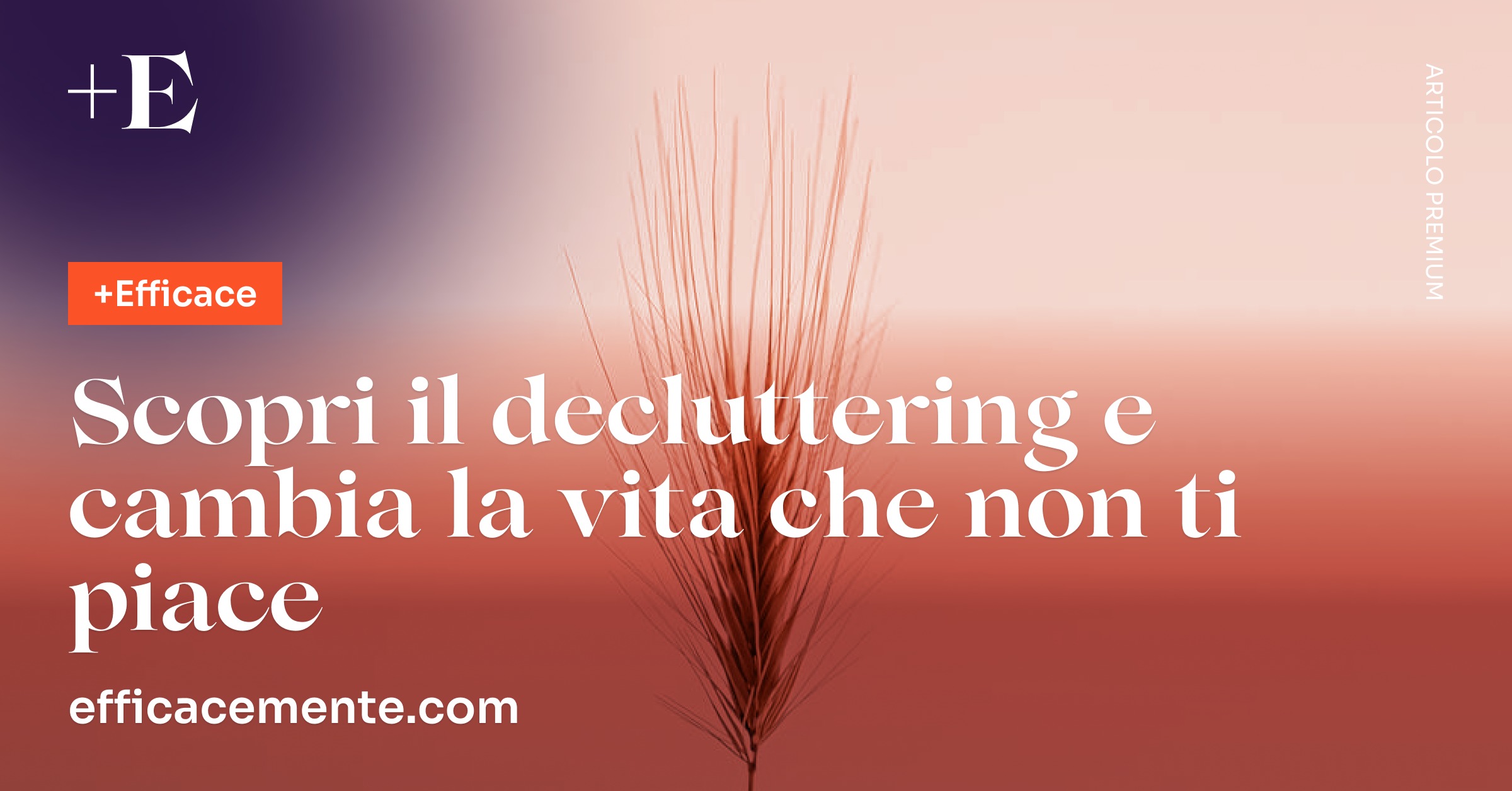 Scopri Il Decluttering e Cambia La Vita Che Non Ti Piace | EfficaceMente